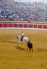 Foto de Paqui Valero Rodr&iacute;guez
